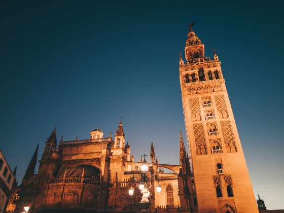 山东最新私家团旅游社推荐 青岛优质私家团旅游社服务权威榜单发布